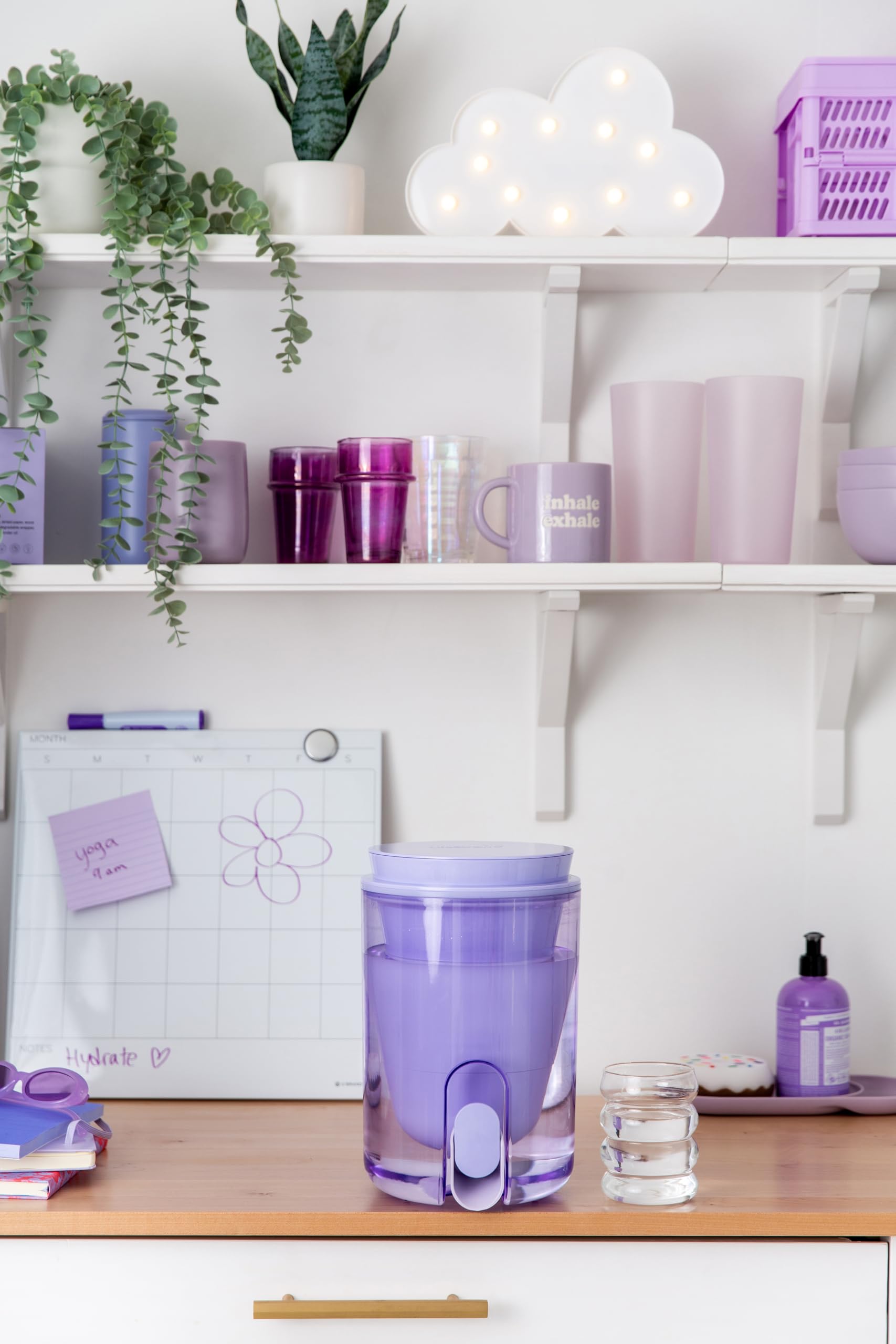 LifeStraw Home Studio Water Filter Dispenser, 10-Cup, Thistle